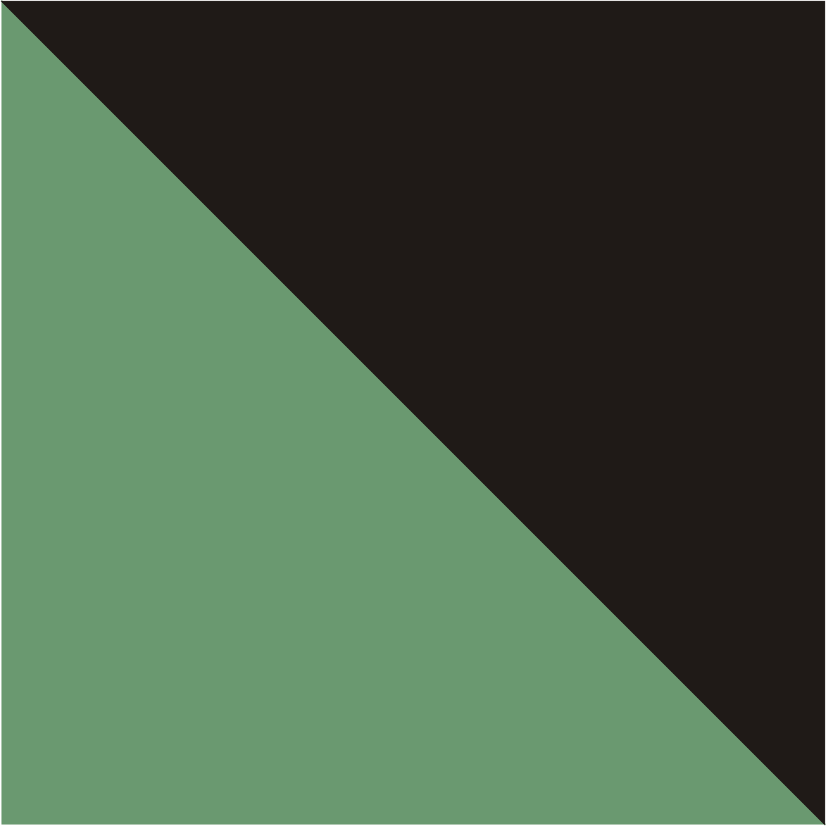 Black-Green Fluo