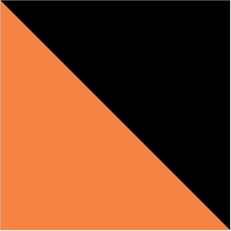 Fluor Orange /Black (22302)