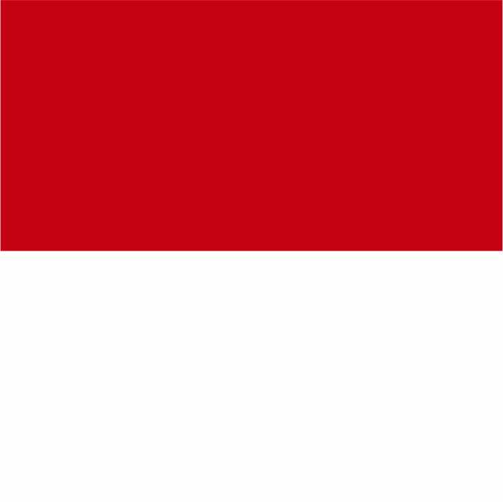 Sporty Red/White