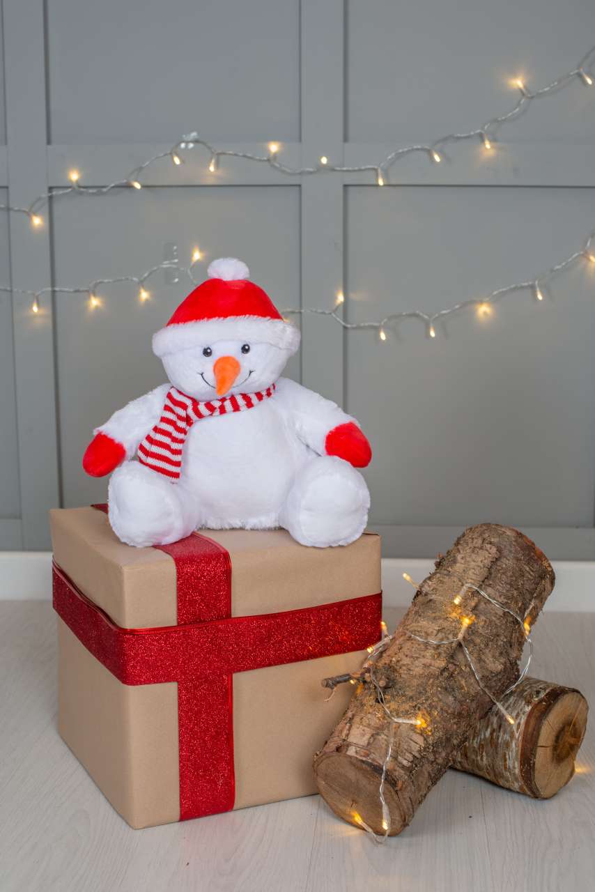 ZIPPIE SNOWMAN