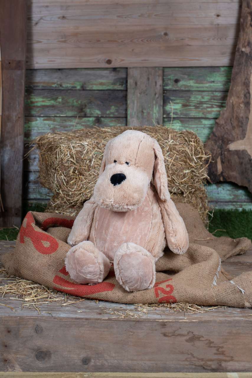 ZIPPIE DOG